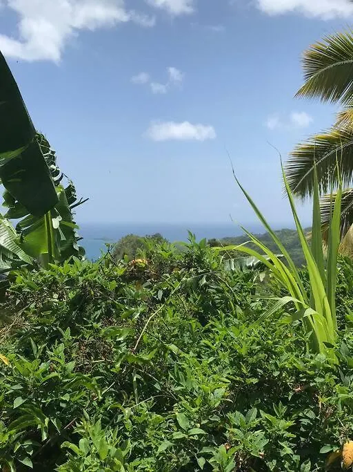 Tropical Cottage En Eco Casa Algana El Limón 別荘